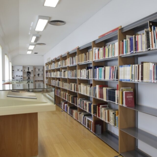 Biblioteca_37