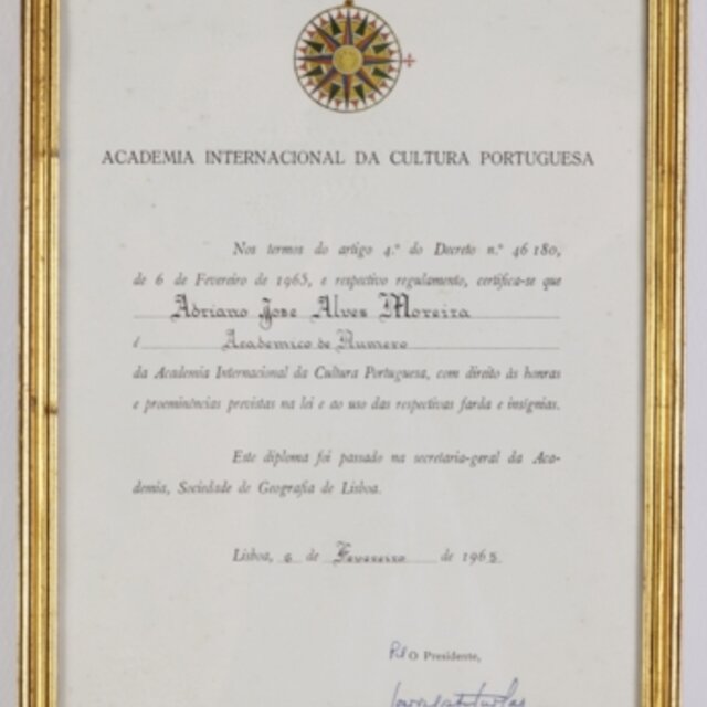 Diploma 11