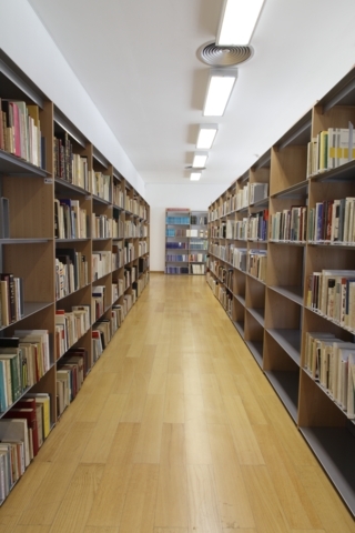 Biblioteca secção 3