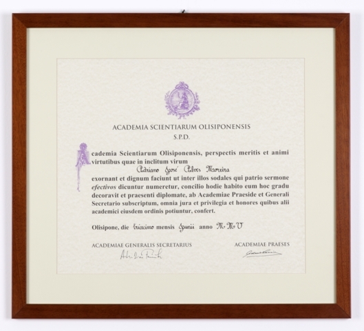 Diploma 7