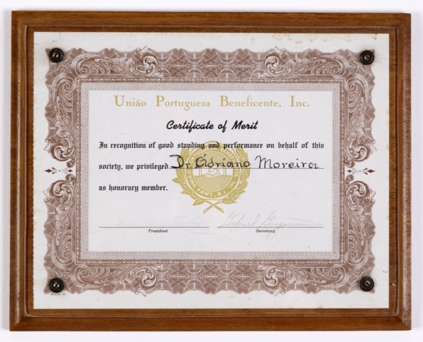 Diploma 9