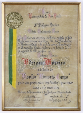 Diploma 13