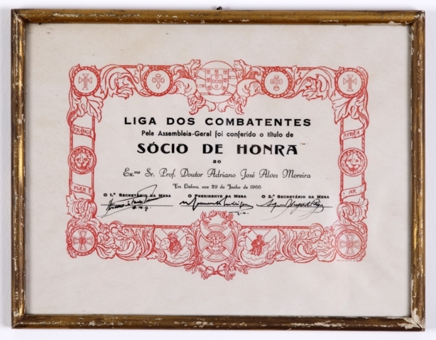 Diploma 12